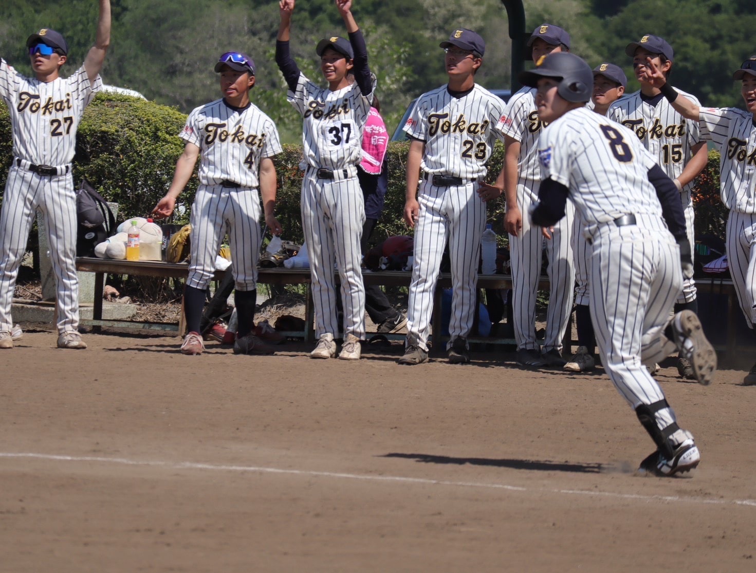 東海大学男子ソフトボール部