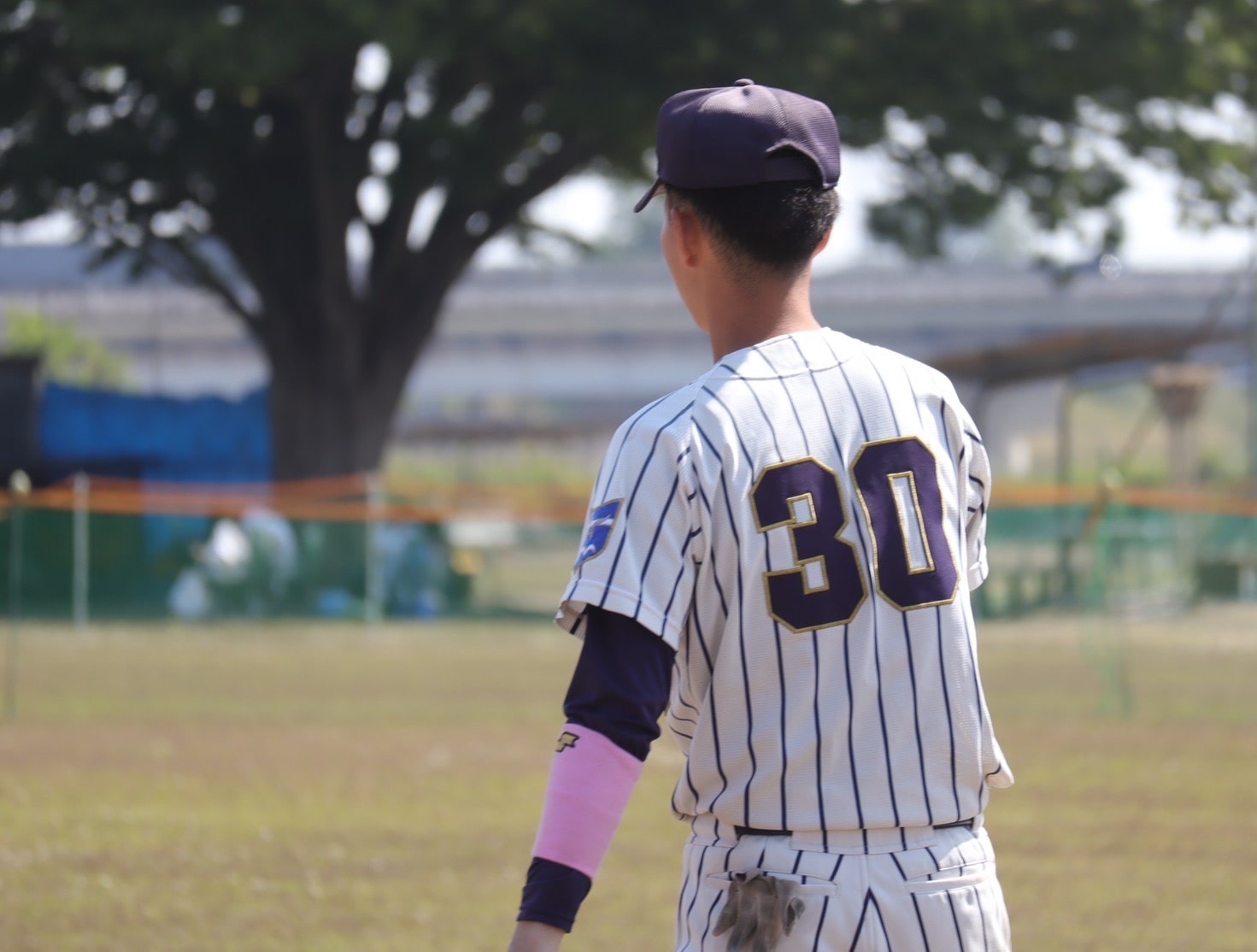 東海大学男子ソフトボール部