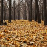 転職のベストシーズン!20代におすすめの求人が見つかる時期