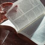 第二新卒の転職で学歴は重要？徹底解説